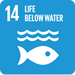 United Nations Sustainable Development Goal 14